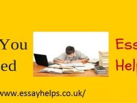 Great content from essay help in the UK